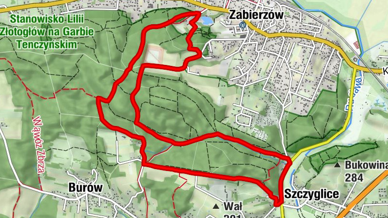 Balice - Grube Ryby - Grzybów - Szczyglice