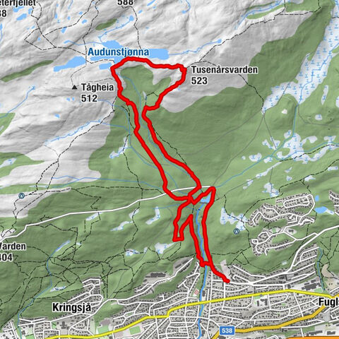 Granlia - Krokodilla - Tusenårsvarden - Molde