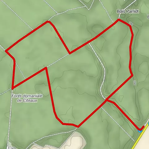 Sentier de la forêt de Palleau