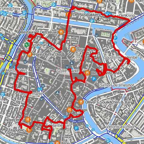 Hofjes wandeling Haarlem.