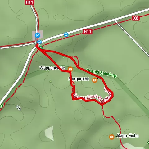 Urwald Sababurg - Rundweg (gelb/Hirschkäfer)
