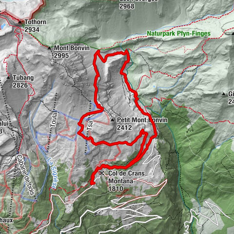 Colombire-Tieche-Petit Bonvin-retour