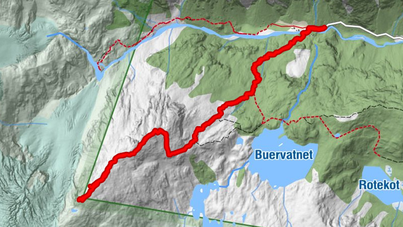 Buer-Reinanuten