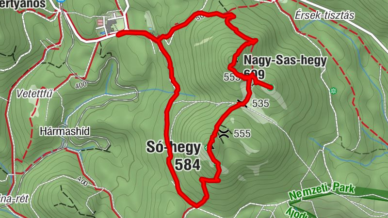 Nagy Sas hegy - Keselyű orom - Só hegy