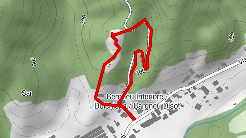 Castrum Cernedum: the Castle of Cergneu