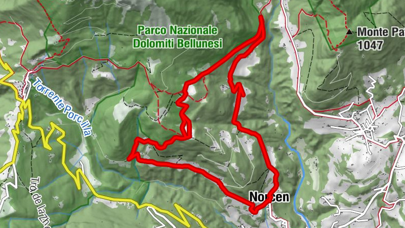 🌳 The Paradisi di Norcen – Between maiolere and monumental trees