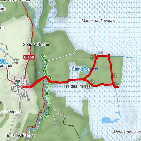 Walking tour at the Lavours swamp