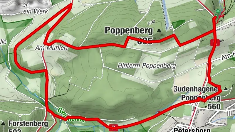 Petersborner Rundtour auf der Sauerland Waldroute