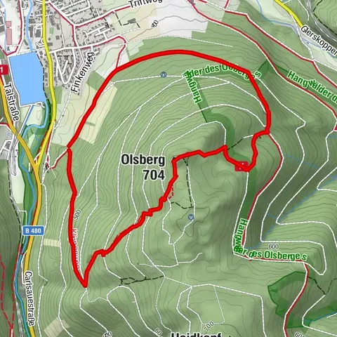 Olsberger Gipfelkreuztour (Qualitätsweg Wanderbares Deutschland) 4. Etappe Kneipp WanderWeg 