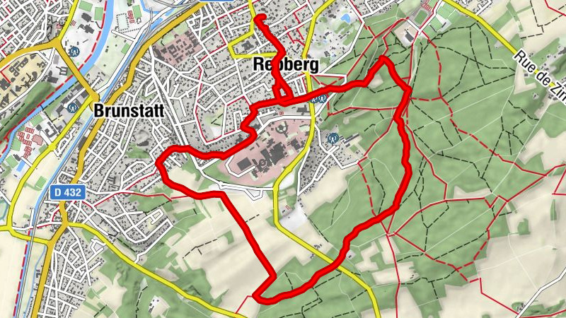 Du Haut Rebberg au Tannenwald , Mulhouse, Grand Est/France