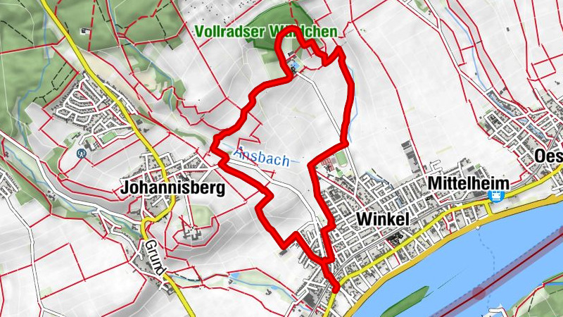 Riesling Schleife Schlösserblick