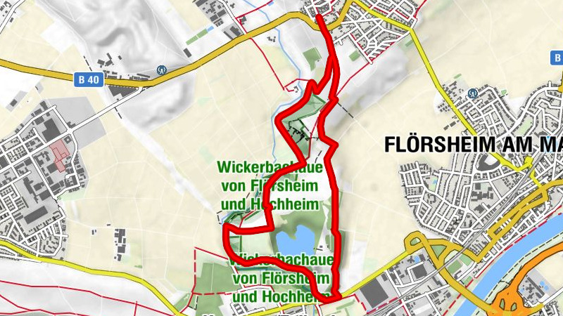 Riesling Schleife Flörsheimer Schweiz