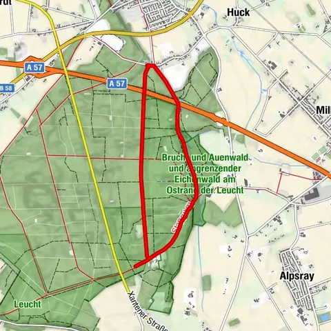 Wandern - Wald - (Er-) LEUCHT (ung) - rote Route