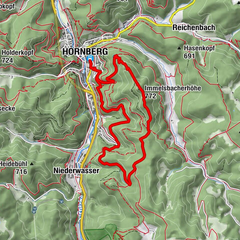 Durch den Hornberger Stadtwald