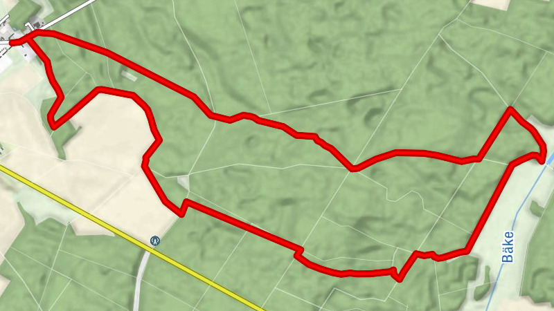 Wildschwein-Tour Klötze