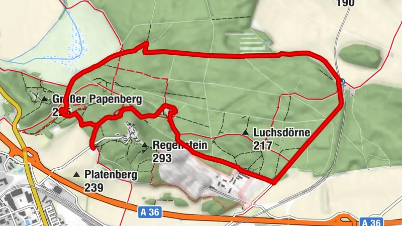 Großer Rundweg Sandsteinhöhlen Blankenburg (Harz)