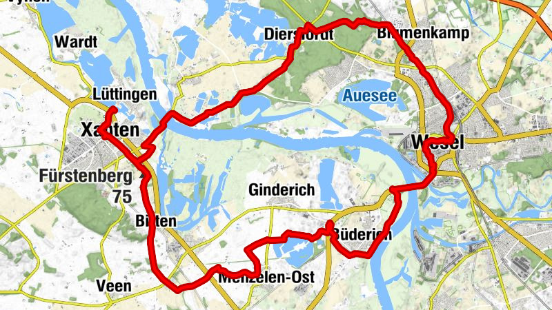 Wanderung am 31. Januar 2022