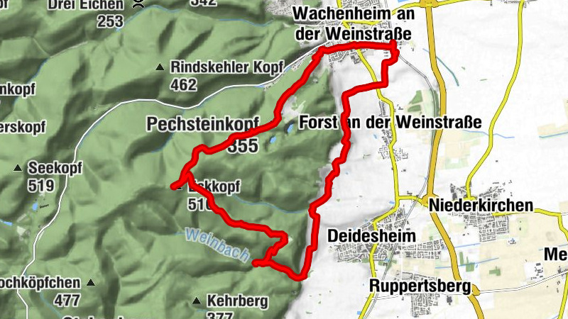 Wachenheim an der Weinstraße, Rheinland-Pfalz/Deutschland