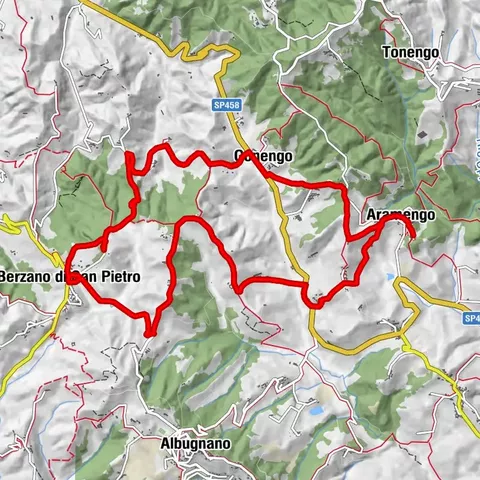 🟢GT.P 17 The Way of the Orchids