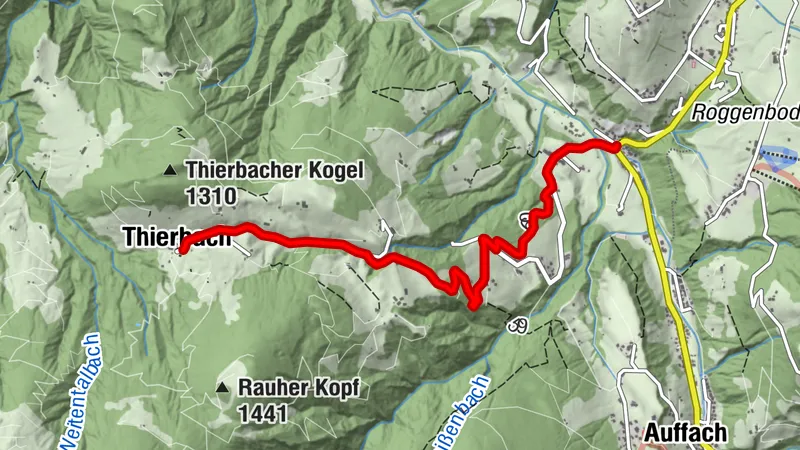 Gipfelwanderung zum Gratlspitz