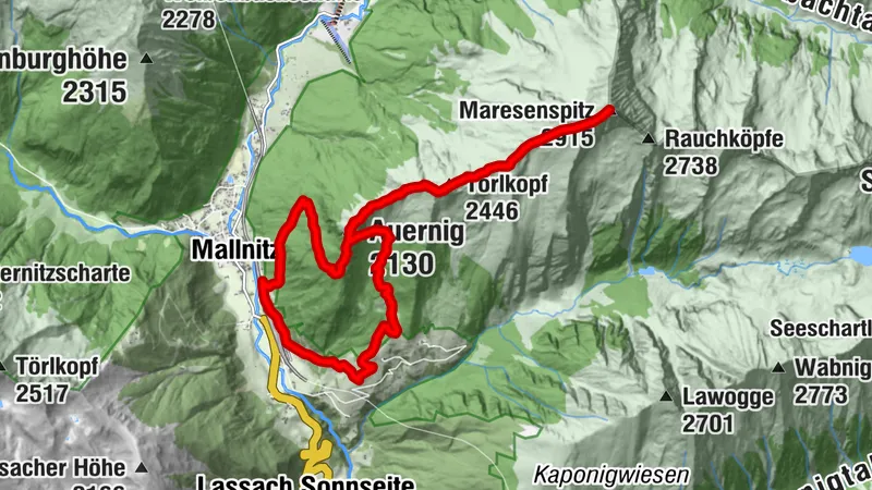 4. Mallnitz 1200 -> Maresenspitz 2915 -> Mallnitz (terrbily inaccurate trail on map)