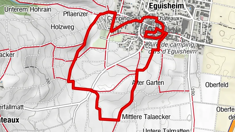 Altstadt & Schloss Eguisheim - Weinberge (Oberelsass)