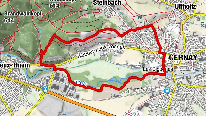 Hike: Thur Wetland