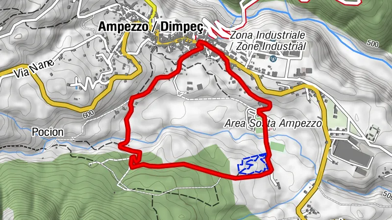 10,000 Steps for Health: FVG - Ampezzo