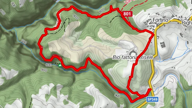 Giro preistorico sul Ghelpach, Canove