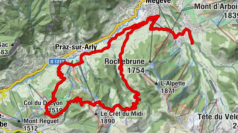 Megeve Mountainbike
