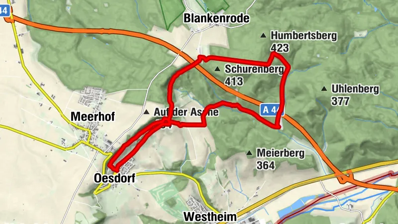 Rundweg Forstwirtschaft Oesdorf Oe1