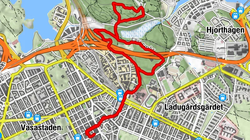 Löprunda Lill-Jansskogen 8km