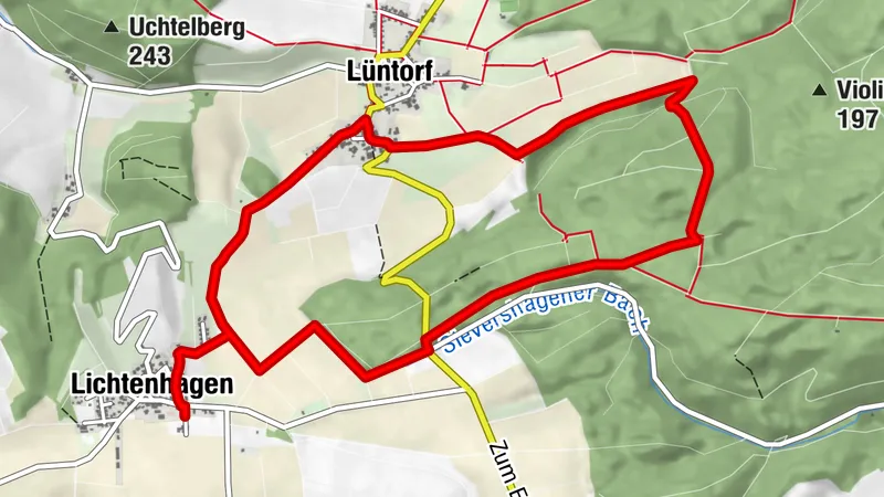 Feldläufer (Ot 6)