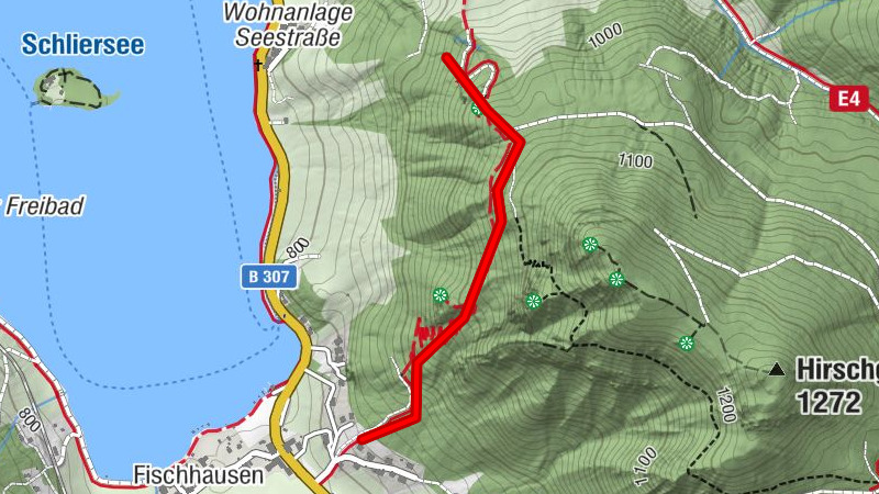 Geschichts- und Naturwanderweg zur Burgruine Hohenwaldeck