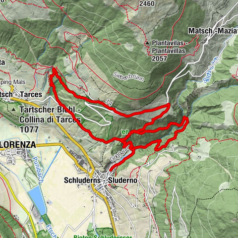 Edelweißsteig- Leitenwool- Muntaschinig- Gongelegg - Schluderns