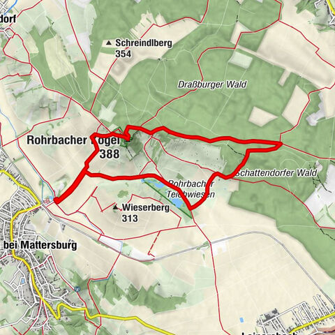 Draßburger Wald: Marzer Kogel und Rohrbacher Teichwiesen