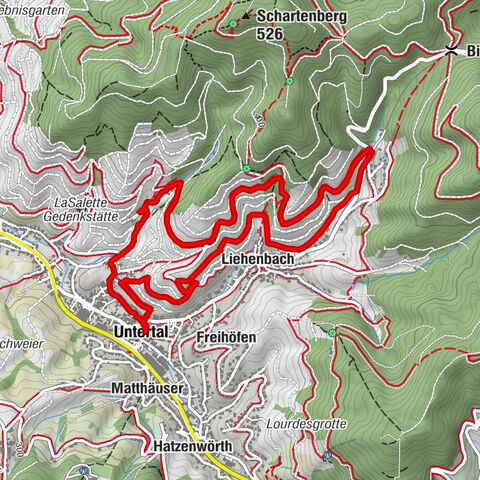 Jogging Runde durch die Reben Bühlertal