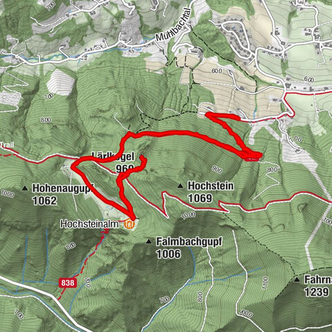 Hochsteinalm und Lärlkogel, Oberösterreich/Österreich