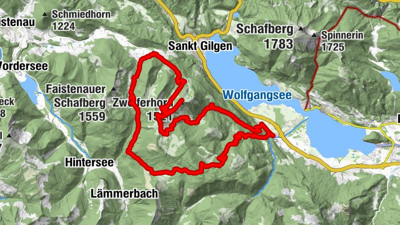 Zwölferhorn über Schafbachalm