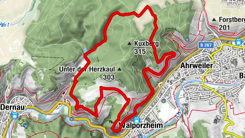 Circular route Bad Neuenahr No. 2 - The great Walporzheim round