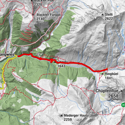 Mountain Inn Heimeli - Sapün - Langwies